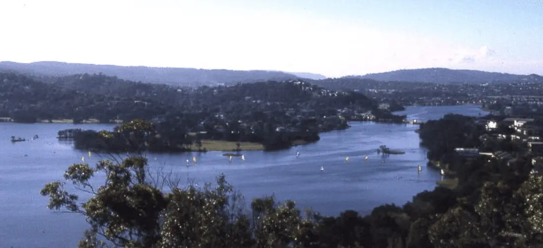 Collaroy Plateau Real Estate and Views